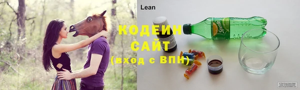молекула духа Каменск-Шахтинский