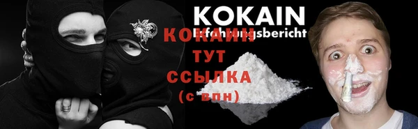 спиды Каменногорск