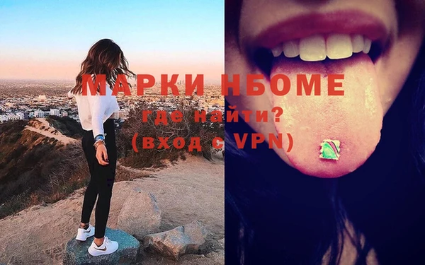 спиды Каменногорск