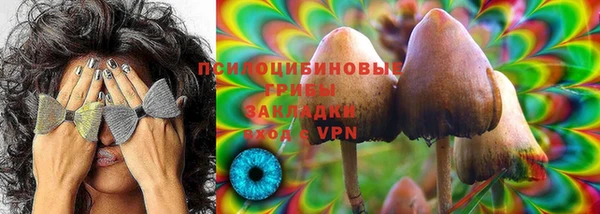 ГАЛЛЮЦИНОГЕННЫЕ ГРИБЫ Иннополис