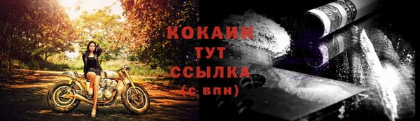 спиды Каменногорск
